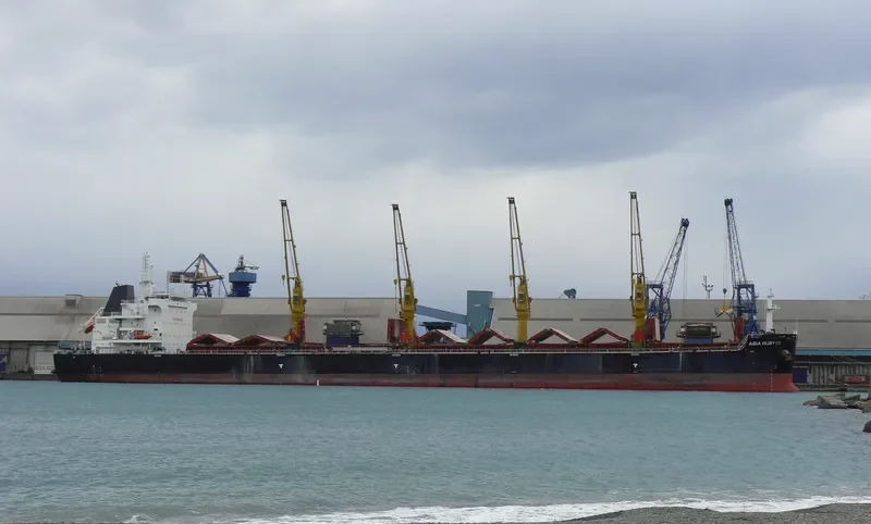 ASIA RUBY III Bulk Carrier IMO 9669392 photo 2