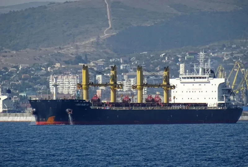 SYMI Bulk Carrier IMO 9669407 photo 2