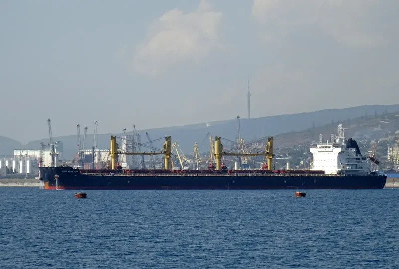 SYMI Bulk Carrier IMO 9669407 photo 3