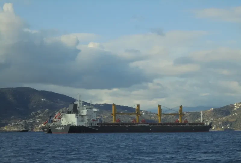 SYMI Bulk Carrier IMO 9669407 photo 5