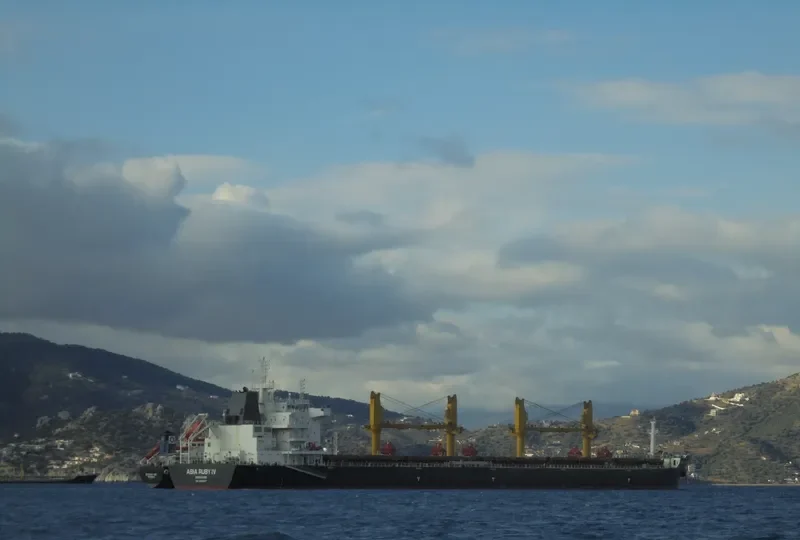 SYMI Bulk Carrier IMO 9669407 photo 6