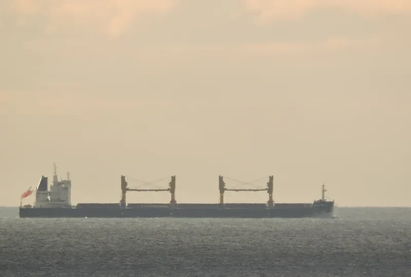 SYMI Bulk Carrier IMO 9669407 photo 7