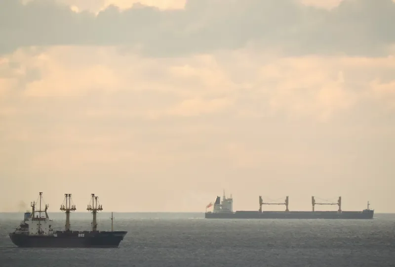 SYMI Bulk Carrier IMO 9669407 photo 8