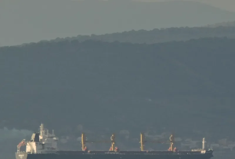 SYMI Bulk Carrier IMO 9669407 photo 9
