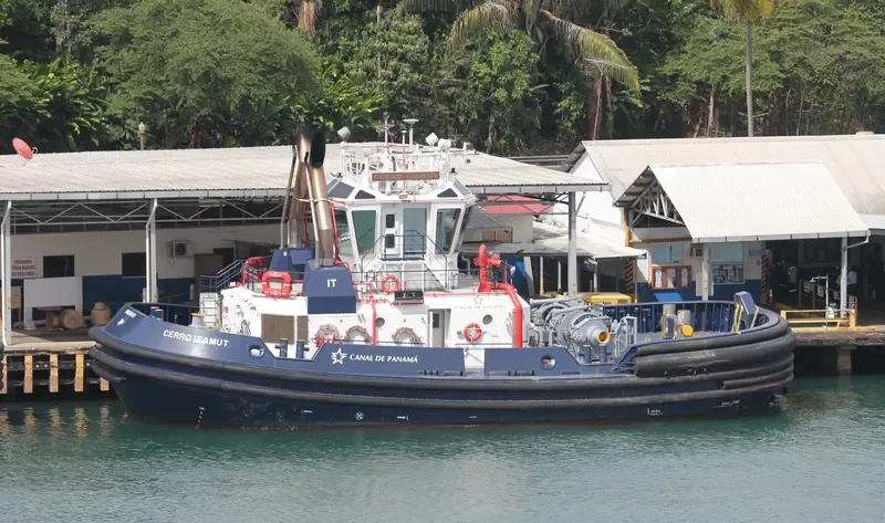 CERRO ITAMUT General Cargo IMO 9669471 photo 3