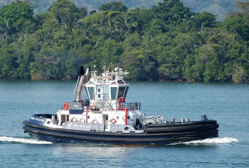 CERRO PICACHO General Cargo IMO 9669483
