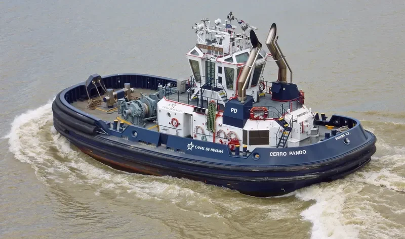 CERRO PANDO General Cargo IMO 9669500