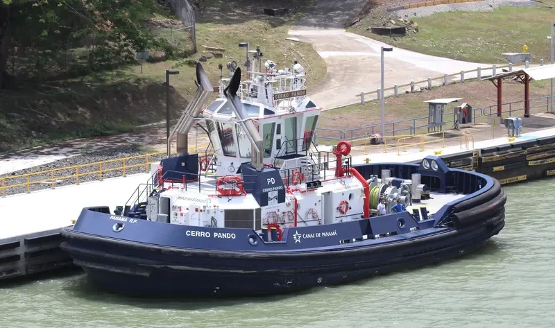 CERRO PANDO General Cargo IMO 9669500 photo 3