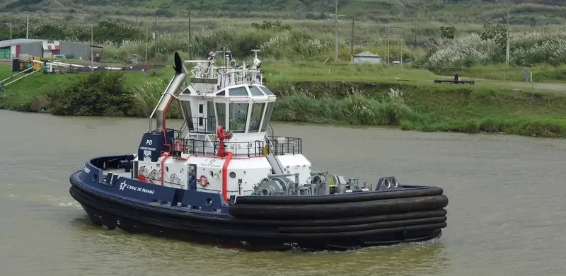 CERRO PANDO General Cargo IMO 9669500 photo 8