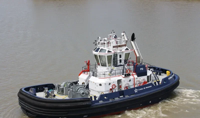 CERRO PANDO General Cargo IMO 9669500 photo 9