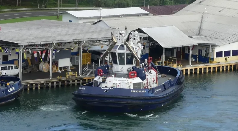 CERRO LA VIEJA General Cargo IMO 9669562
