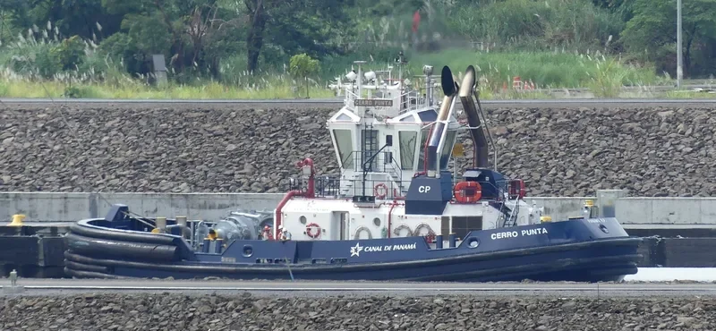 CERRO PUNTA General Cargo IMO 9669586