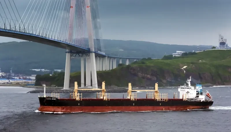 TOKYO SPIRIT Bulk Carrier IMO 9669627