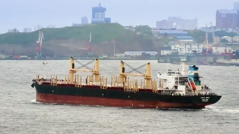 TOKYO SPIRIT Bulk Carrier IMO 9669627 photo 2