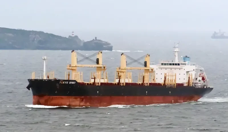 TOKYO SPIRIT Bulk Carrier IMO 9669627 photo 3