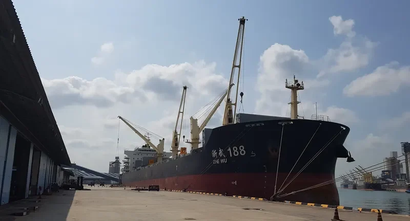 ZHE WU 188 Bulk Carrier IMO 9669720