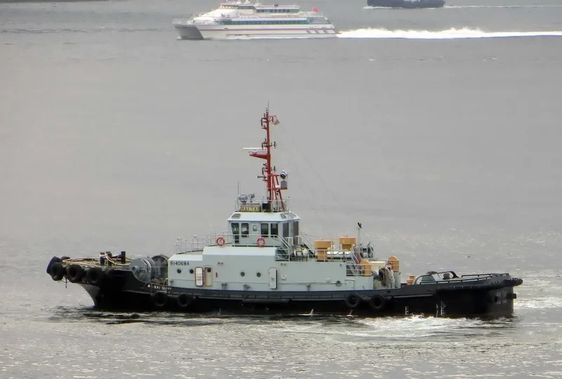 HAI TAI General Cargo IMO 9669744 photo 7