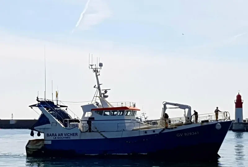 BARA AR VICHER General Cargo IMO 9669768 photo 2
