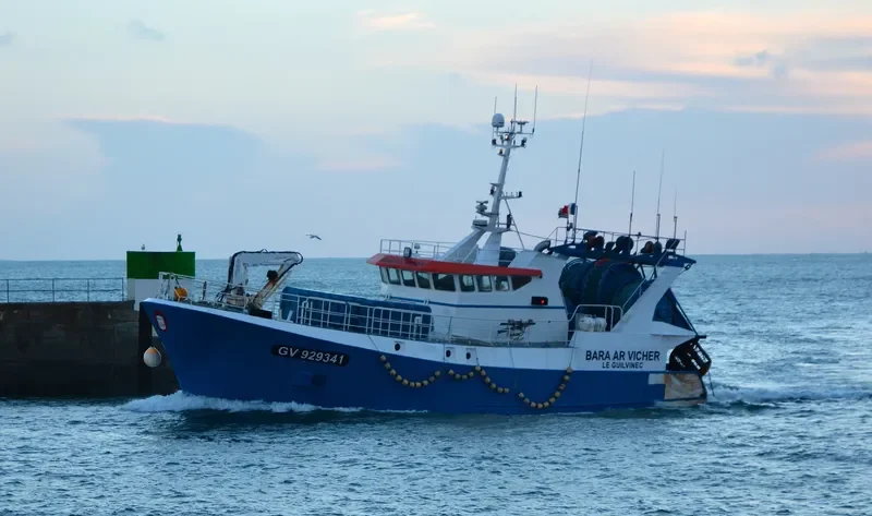 BARA AR VICHER General Cargo IMO 9669768 photo 4
