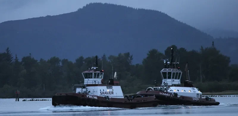 SOMMER S General Cargo IMO 9669811 photo 2
