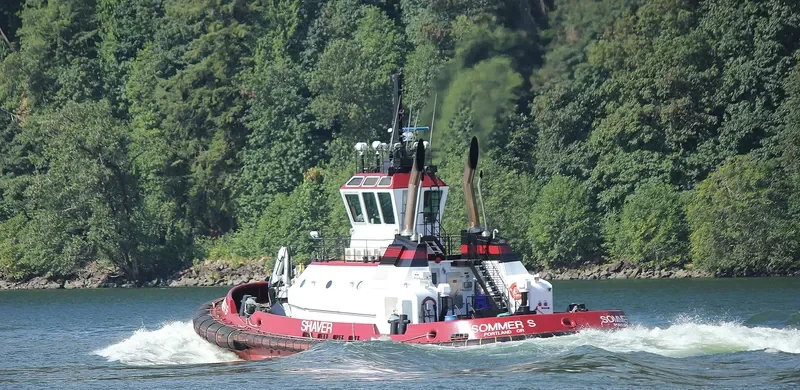 SOMMER S General Cargo IMO 9669811 photo 3
