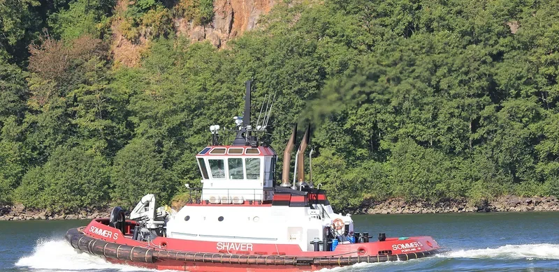 SOMMER S General Cargo IMO 9669811 photo 4