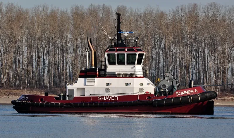 SOMMER S General Cargo IMO 9669811 photo 8