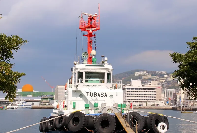 TUBASA General Cargo IMO 9669952 photo 2