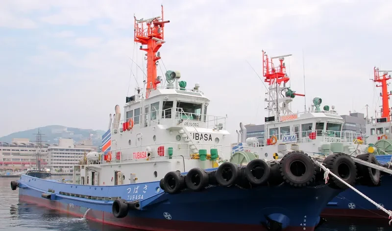 TUBASA General Cargo IMO 9669952 photo 9
