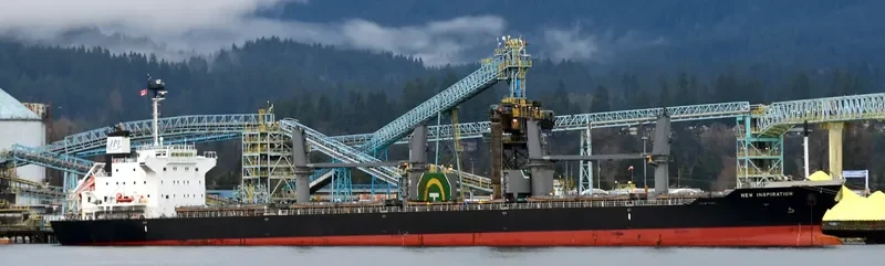 NEW INSPIRATION Bulk Carrier IMO 9669976