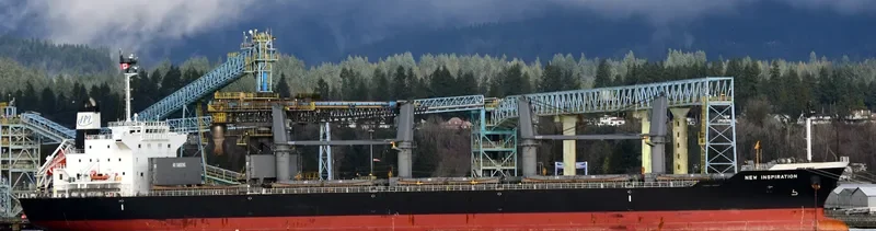 NEW INSPIRATION Bulk Carrier IMO 9669976 photo 2