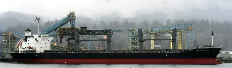 NEW INSPIRATION Bulk Carrier IMO 9669976 photo 3