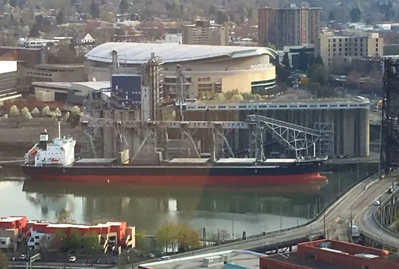 NEW INSPIRATION Bulk Carrier IMO 9669976 photo 4