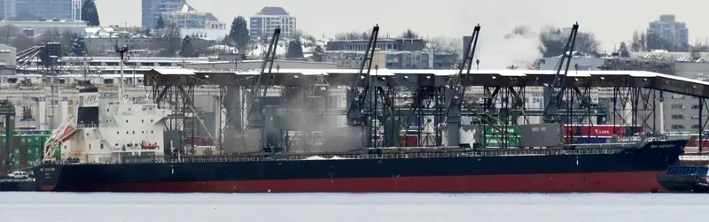 NEW INSPIRATION Bulk Carrier IMO 9669976 photo 5