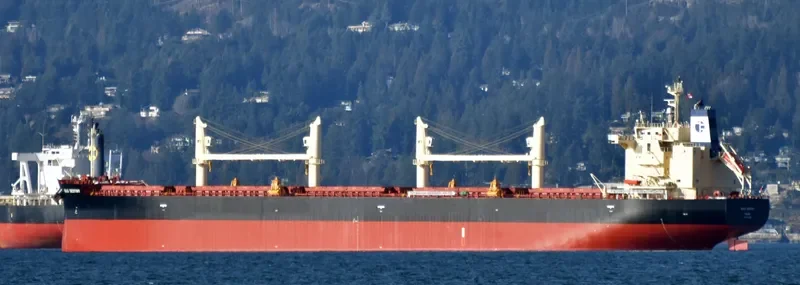 NEW INSPIRATION Bulk Carrier IMO 9669976 photo 6