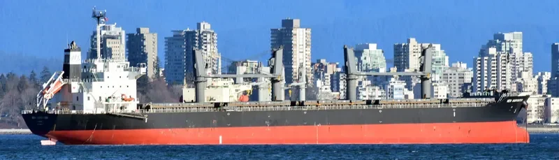 NEW INSPIRATION Bulk Carrier IMO 9669976 photo 7