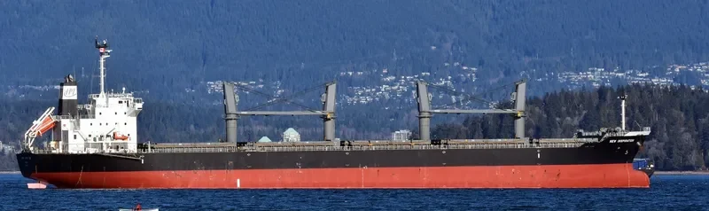 NEW INSPIRATION Bulk Carrier IMO 9669976 photo 8