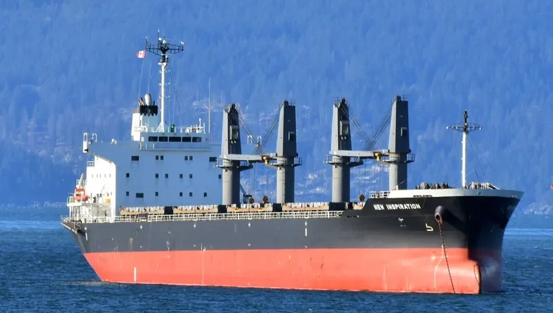 NEW INSPIRATION Bulk Carrier IMO 9669976 photo 9