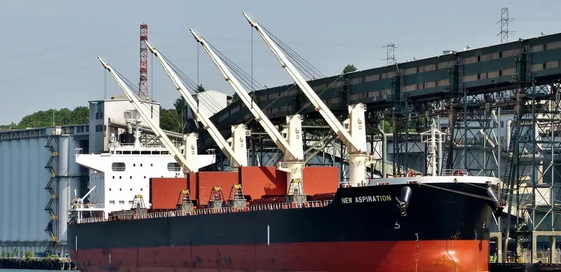 NEW INSPIRATION Bulk Carrier IMO 9669976 photo 10