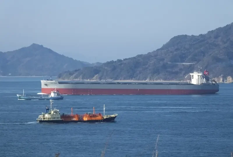 CAPE VERDE Bulk Carrier IMO 9670054 photo 3