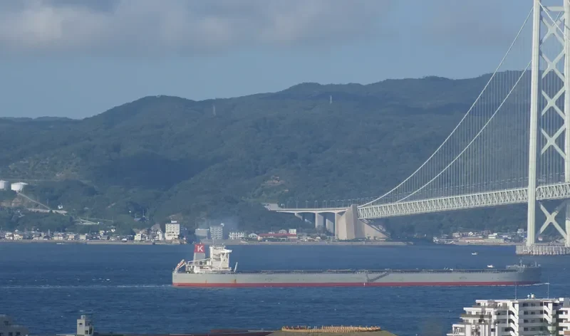CAPE VERDE Bulk Carrier IMO 9670054 photo 5