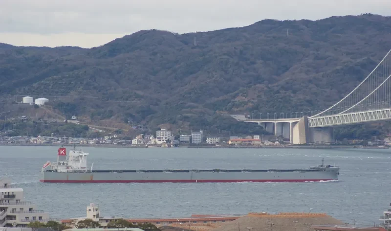 CAPE VERDE Bulk Carrier IMO 9670054 photo 6