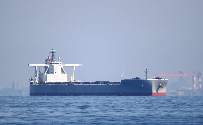 CAPE VERDE Bulk Carrier IMO 9670054 photo 9