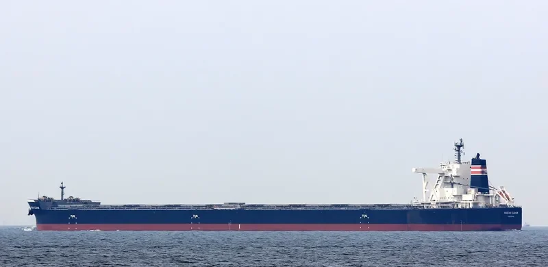 AEGEAN CLOVER Bulk Carrier IMO 9670066 photo 2