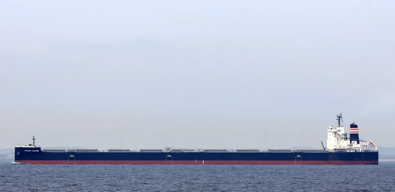 AEGEAN CLOVER Bulk Carrier IMO 9670066 photo 3