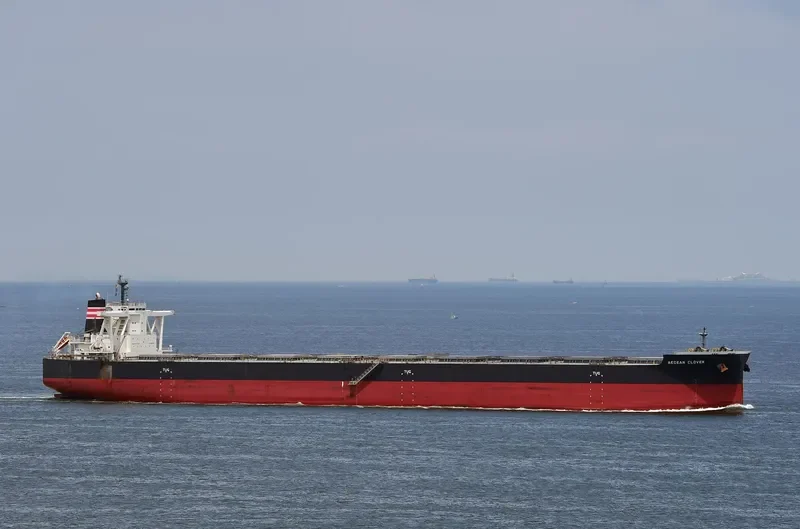 AEGEAN CLOVER Bulk Carrier IMO 9670066 photo 4