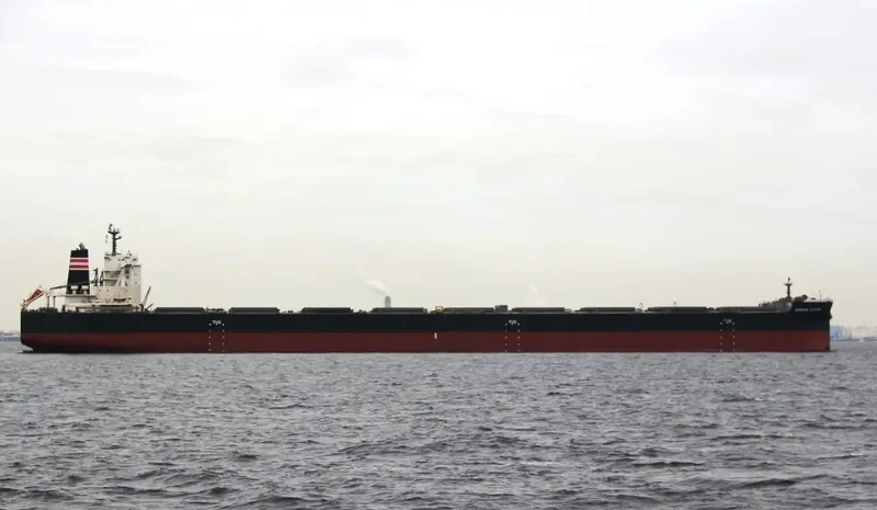 AEGEAN CLOVER Bulk Carrier IMO 9670066 photo 5