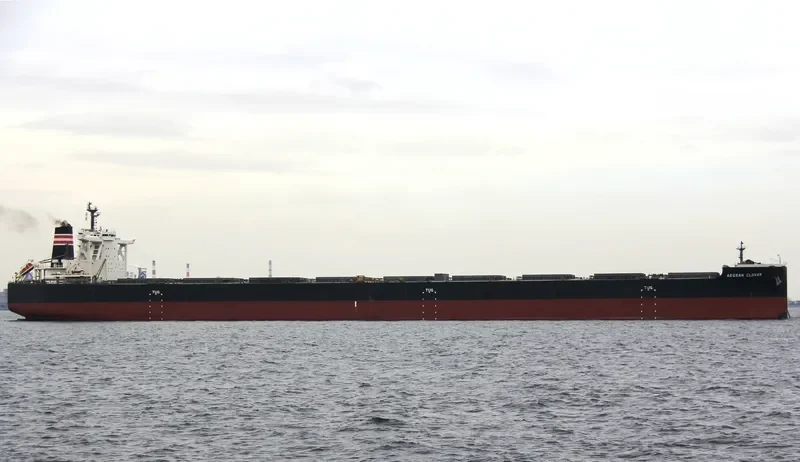 AEGEAN CLOVER Bulk Carrier IMO 9670066 photo 6