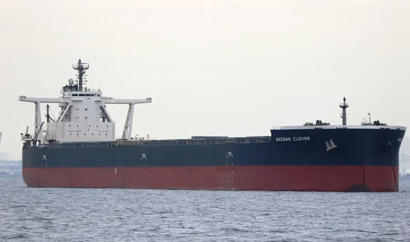 AEGEAN CLOVER Bulk Carrier IMO 9670066 photo 7