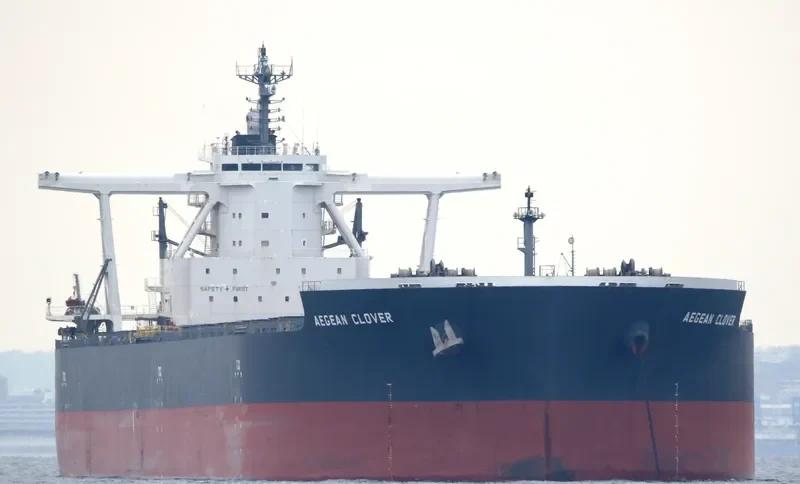 AEGEAN CLOVER Bulk Carrier IMO 9670066 photo 8